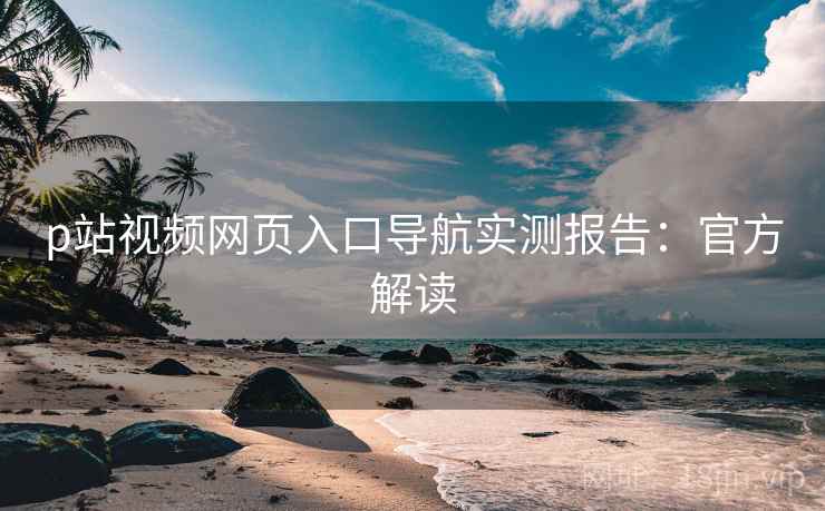 p站视频网页入口导航实测报告：官方解读