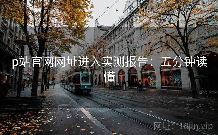 p站官网网址进入实测报告：五分钟读懂