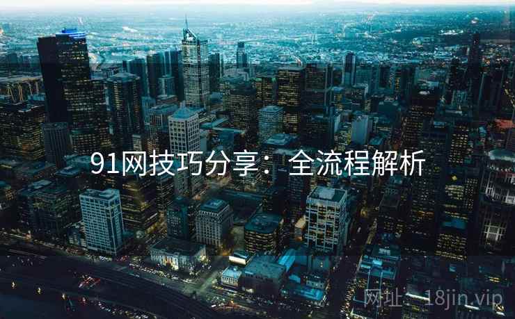 91网技巧分享：全流程解析