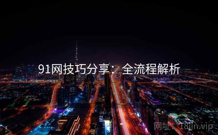 91网技巧分享：全流程解析