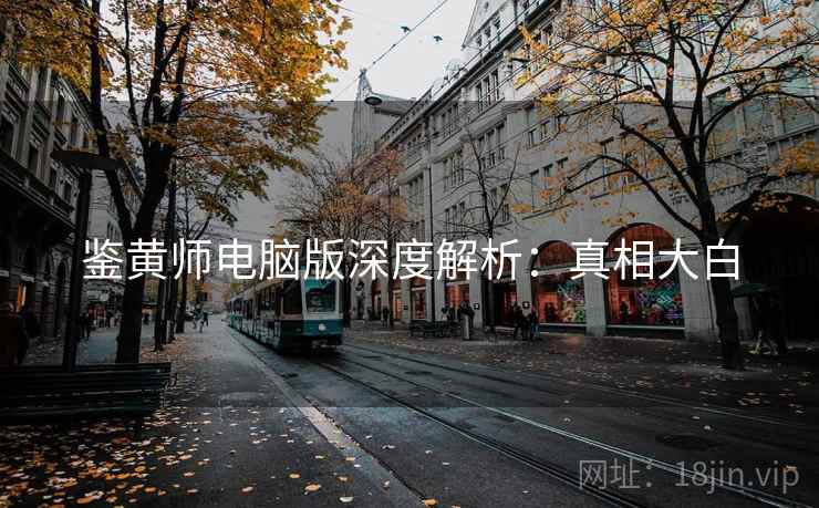 鉴黄师电脑版深度解析：真相大白
