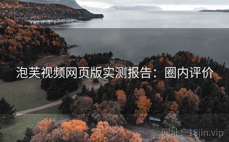 泡芙视频网页版实测报告：圈内评价