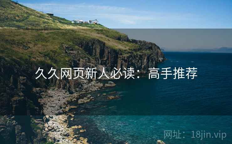 久久网页新人必读：高手推荐