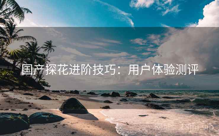 国产探花进阶技巧：用户体验测评