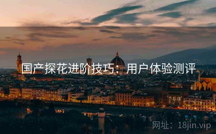 国产探花进阶技巧：用户体验测评
