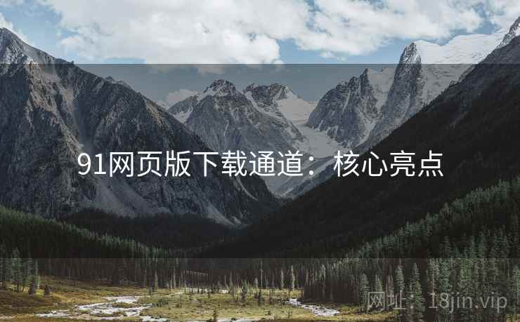 91网页版下载通道：核心亮点