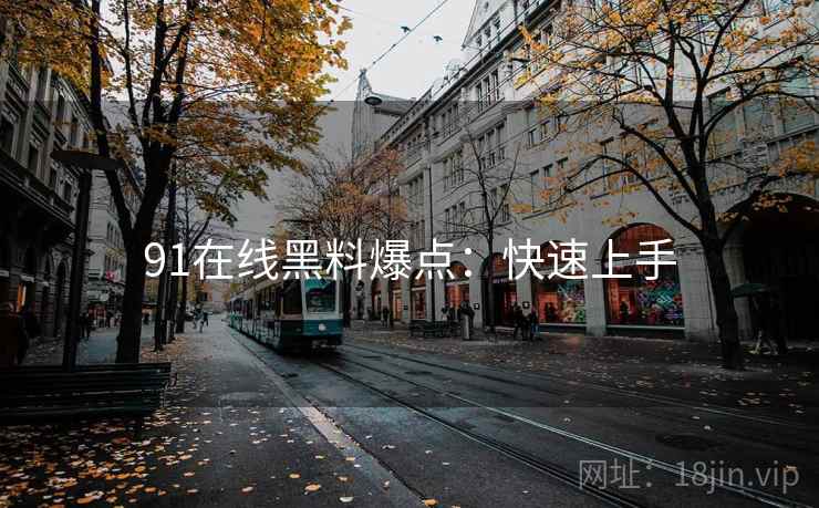 91在线黑料爆点：快速上手