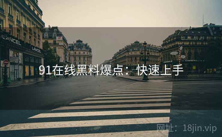 91在线黑料爆点：快速上手