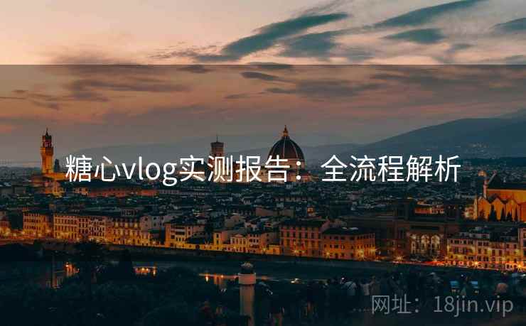 糖心vlog实测报告：全流程解析
