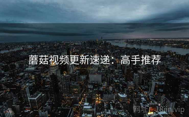 蘑菇视频更新速递：高手推荐