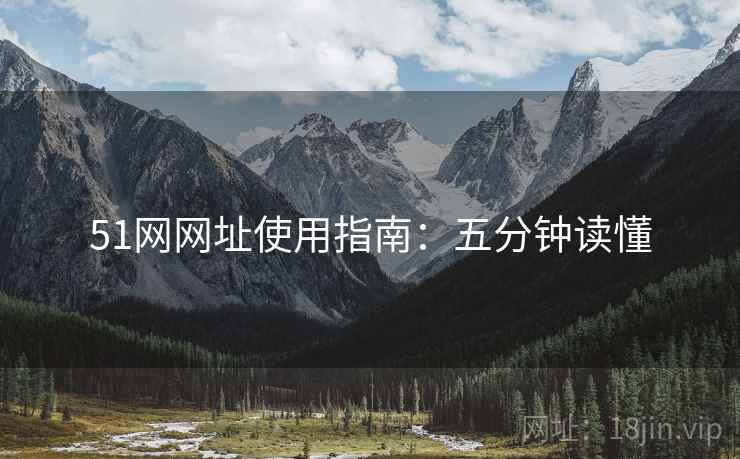 51网网址使用指南：五分钟读懂