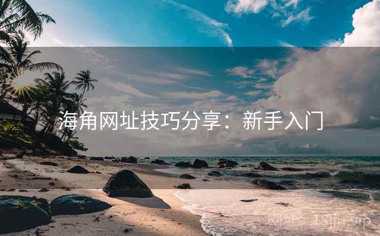 海角网址技巧分享：新手入门