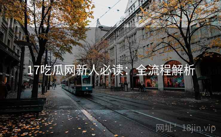 17吃瓜网新人必读：全流程解析