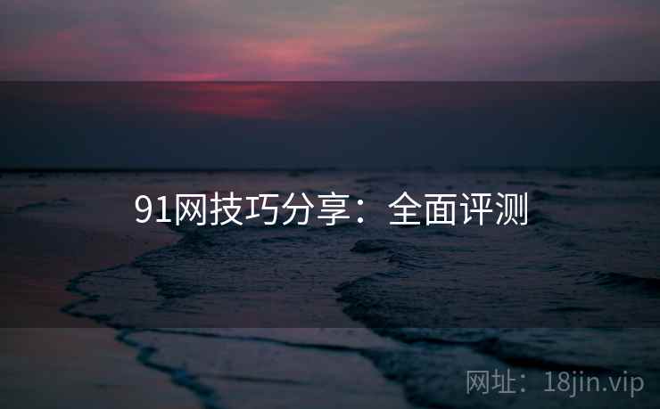 91网技巧分享：全面评测
