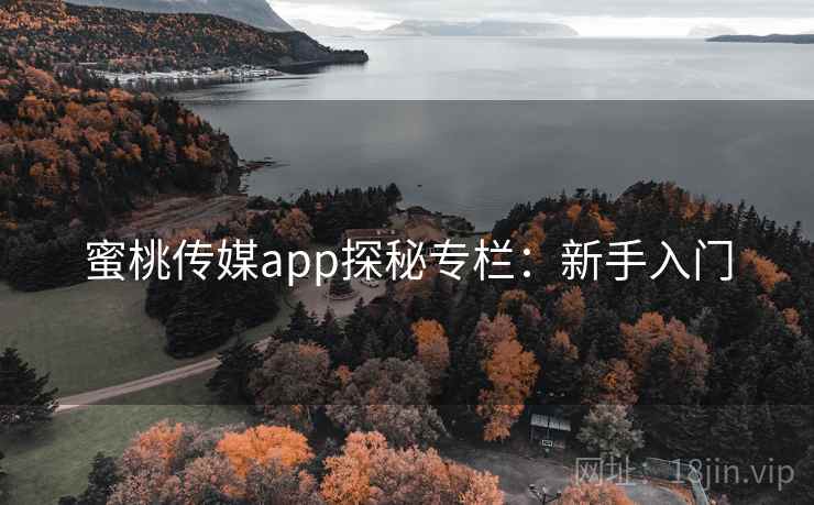 蜜桃传媒app探秘专栏：新手入门
