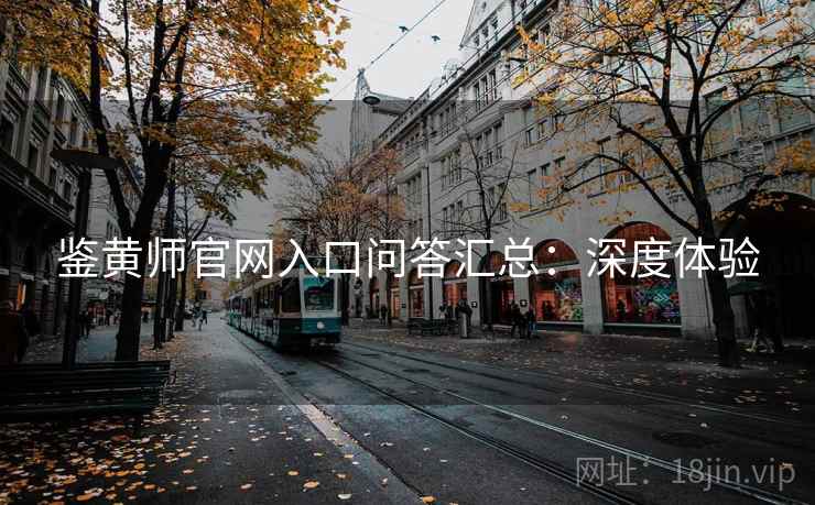 鉴黄师官网入口问答汇总：深度体验