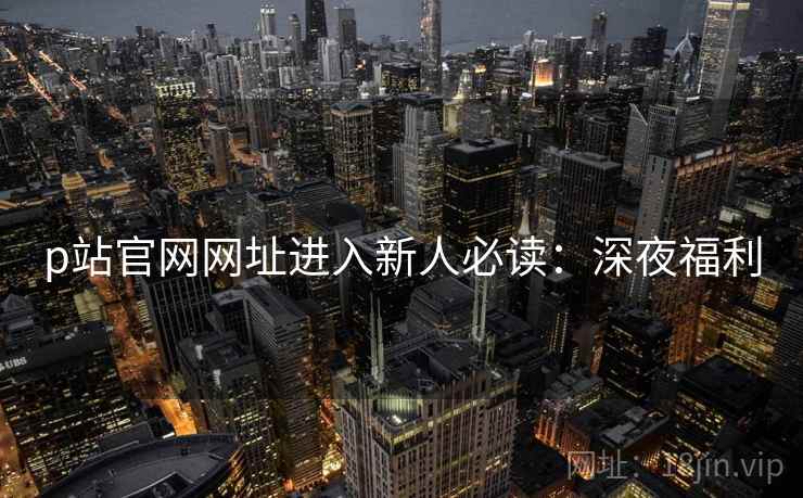 p站官网网址进入新人必读：深夜福利